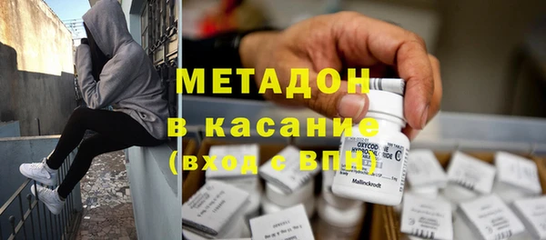 сатива Козловка