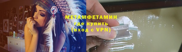 сатива Козловка