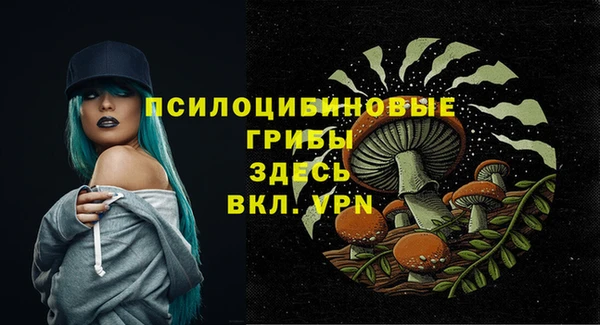 СК Янаул