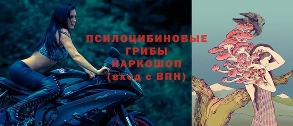 apvp Кодинск