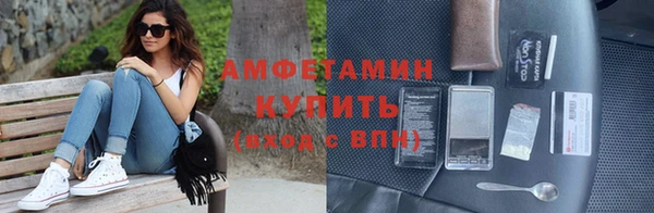 сатива Козловка